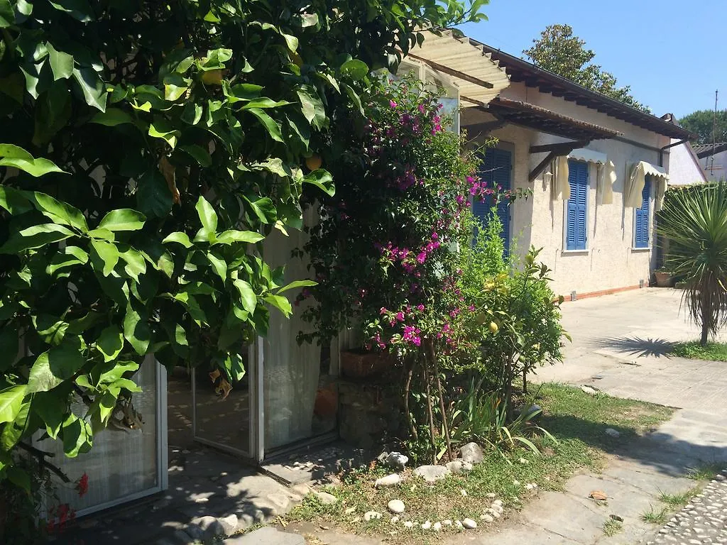 Il Nido Sul Mare A Forte Dei Marmi Apartment